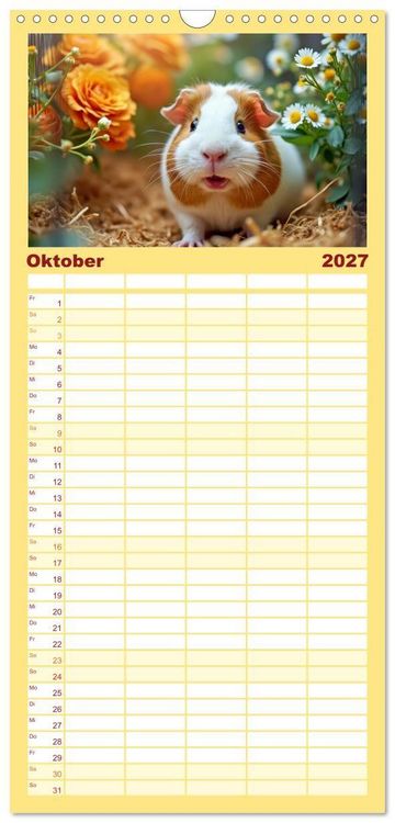 Produktbild: Familienplaner 2027 - S&uuml;&szlig;e Meerschweinchen mit 5 Spalten (Wandkalender, 21 x 45 cm) CALVENDO