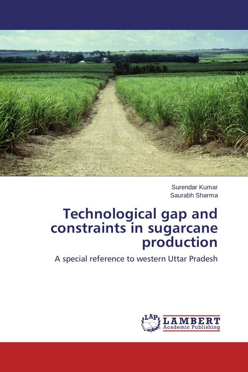 Produktbild: Technological gap and constraints in sugarcane production