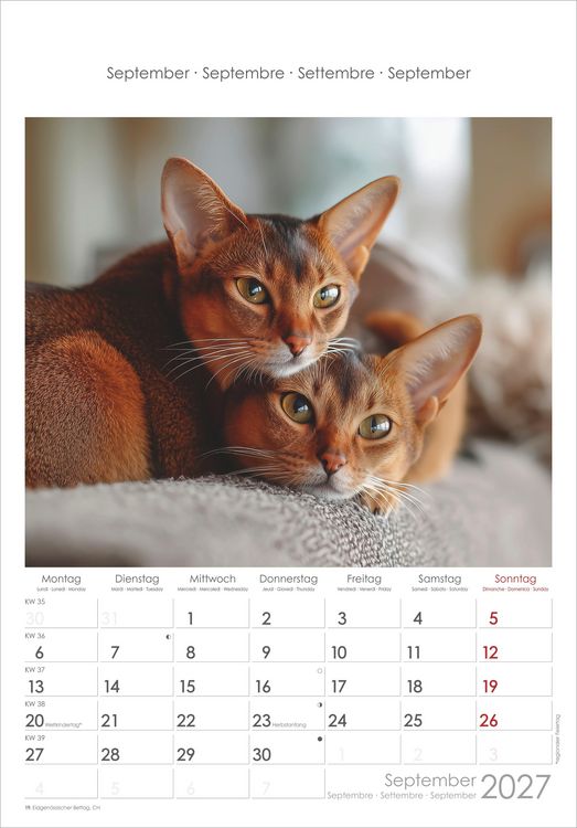 Produktbild: Katzen 2027
