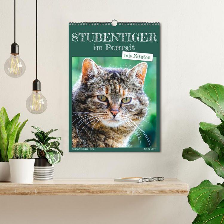 Produktbild: Stubentiger im Portrait (Wandkalender 2026 DIN A3 hoch), CALVENDO Monatskalender