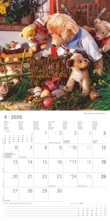 Produktbild: Teddy 2026 - Broschürenkalender 30x30 cm (30x60 geöffnet) - Kalender mit Platz für Notizen - Bildkalender - Wandkalender - mit herausnehmbarem Poster