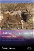 Produktbild: Antelope Conservation &ndash; From Diagnosis to Action