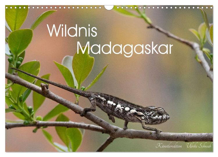 Produktbild: Wildnis Madagaskar (Wandkalender 2027 DIN A3 quer), CALVENDO Monatskalender
