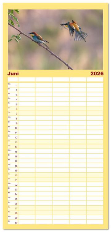 Produktbild: Familienplaner 2026 - Bunte Flieger mit 5 Spalten (Wandkalender, 21 x 45 cm) CALVENDO