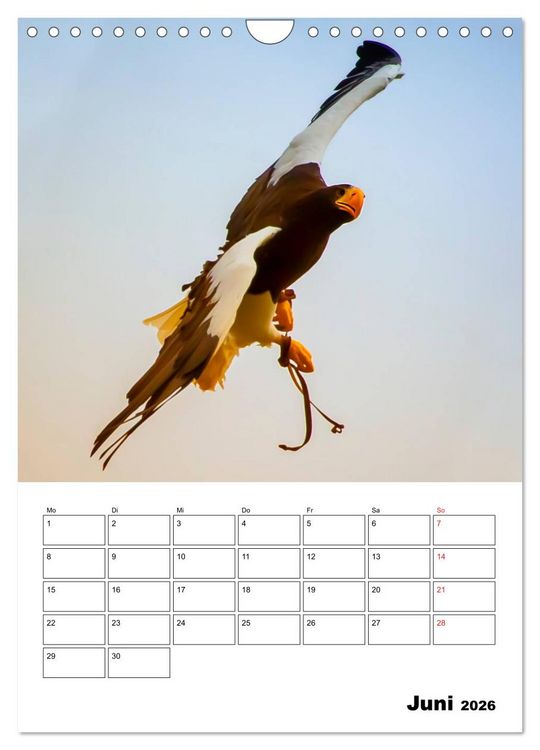 Produktbild: Raub- und Greifv&ouml;gel im Flug (Wandkalender 2026 DIN A4 hoch), CALVENDO Monatskalender