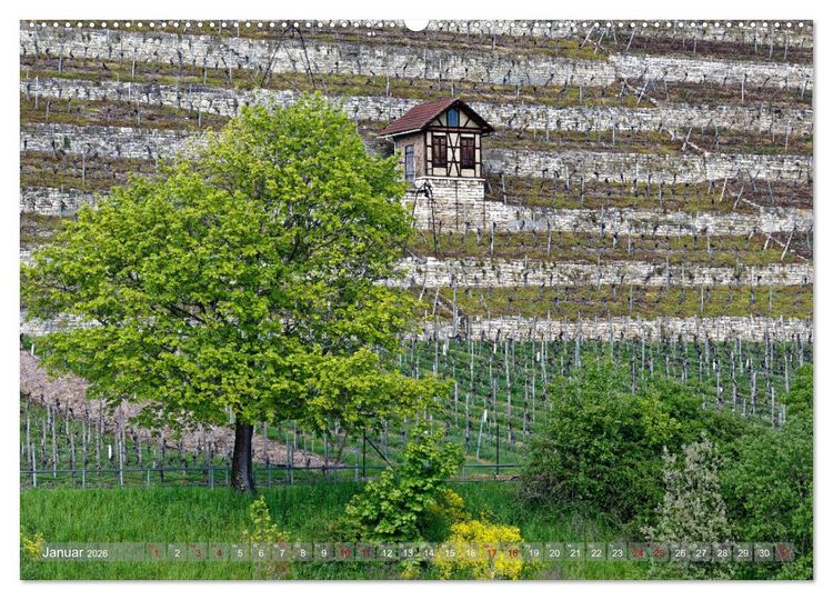 Produktbild: Weinbergh&auml;uschen - Schutz- und Werkzeughaus f&uuml;r den Weing&auml;rtner (Wandkalender 2026 DIN A2 quer), CALVENDO Monatskalender