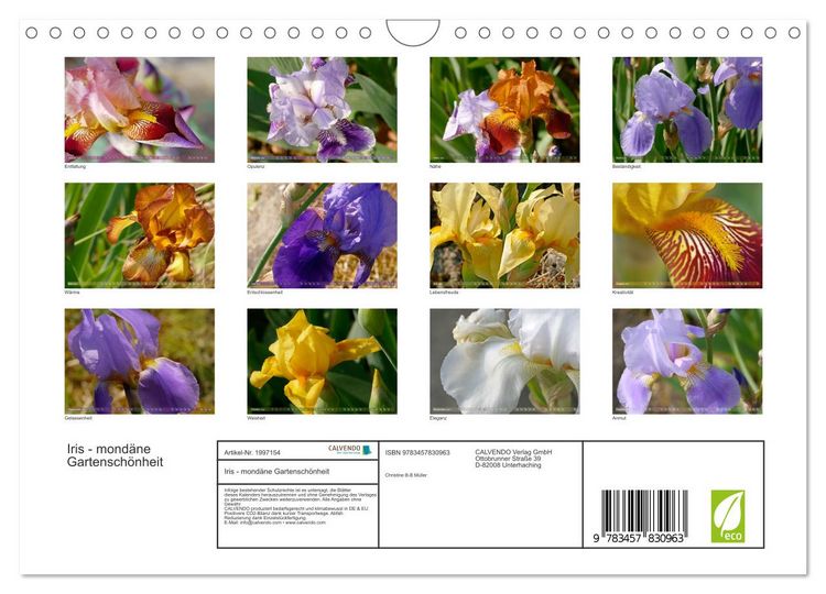 Produktbild: Iris - mond&auml;ne Gartensch&ouml;nheit (Wandkalender 2026 DIN A4 quer), CALVENDO Monatskalender