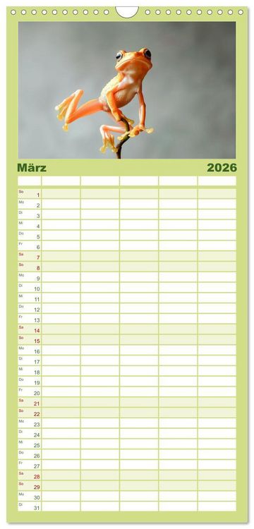 Produktbild: Familienplaner 2026 - Lustige Amphibienbande mit 5 Spalten (Wandkalender, 21 x 45 cm) CALVENDO