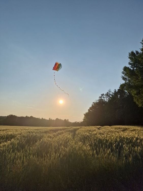 Produktbild: Paul G&uuml;nther 1173 - Pocketkite Mini Parafoil, Einleiner-Drachen ohne St&auml;be (auspacken und losfliegen), mit Schwanz, Wickelgriff, Schnur, 60x51cm