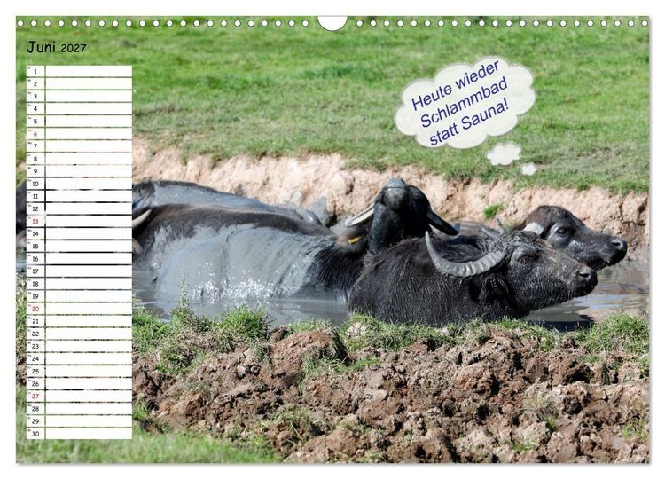 Produktbild: Wenn Tiere Sprechen k&ouml;nnten! Der lustige Spr&uuml;che Geburtstagskalender (Wandkalender 2027 DIN A3 quer), CALVENDO Monatskalender