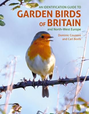 Produktbild: An ID Guide to Garden Birds of Britain