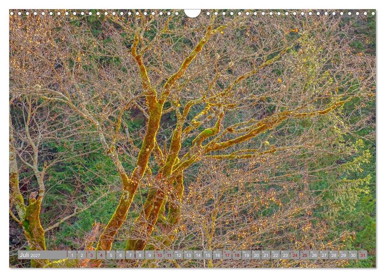 Produktbild: Herbst. Die letzten Farben des Jahres (Wandkalender 2027 DIN A3 quer), CALVENDO Monatskalender