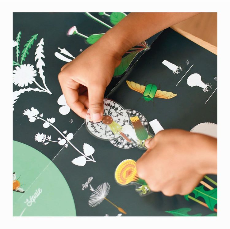 Produktbild: POPPIK - Lernposter & Sticker Botanik