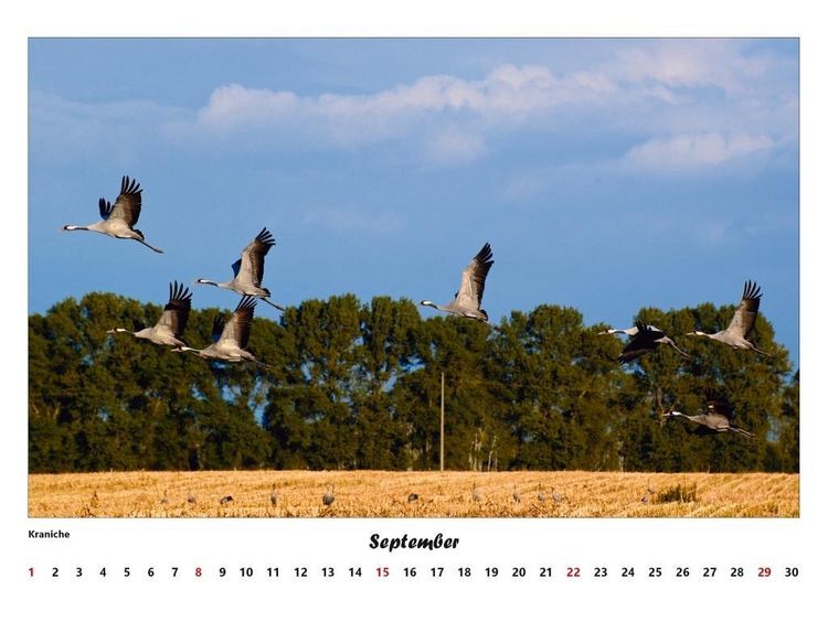 Produktbild: Fischland - Dar&szlig; - Zingst Kalender 2027 (gro&szlig;)