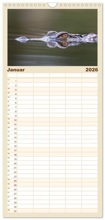 Produktbild: Familienplaner 2026 - S&uuml;dafrika wunderbare Tierwelt mit 5 Spalten (Wandkalender, 21 x 45 cm) CALVENDO