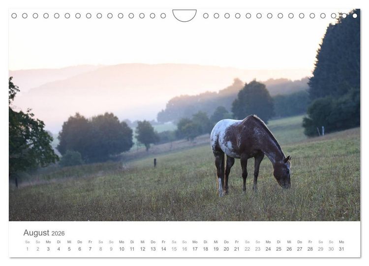 Produktbild: M&auml;rchenpferde (Wandkalender 2026 DIN A4 quer), CALVENDO Monatskalender
