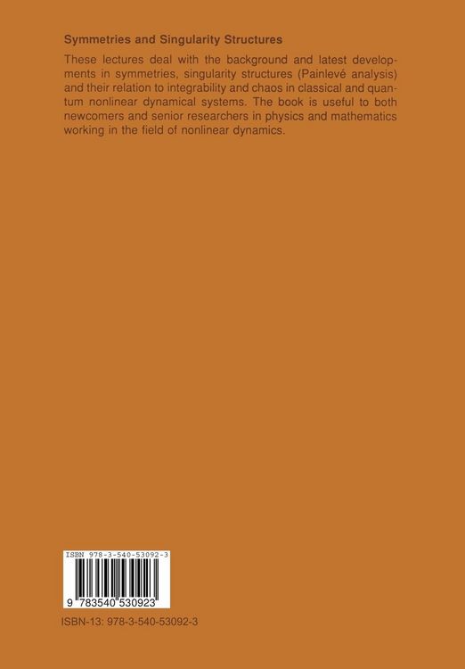 Produktbild: Symmetries and Singularity Structures
