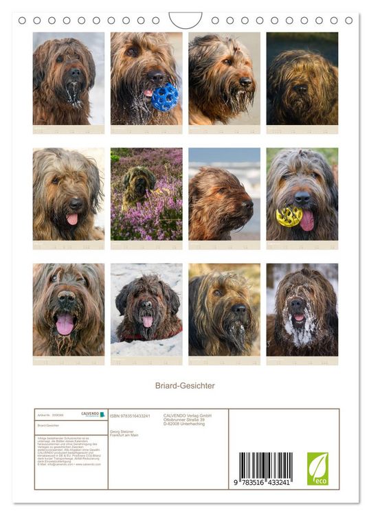 Produktbild: Briard-Gesichter (Wandkalender 2026 DIN A4 hoch), CALVENDO Monatskalender