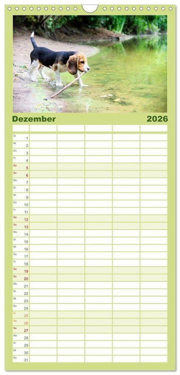 Produktbild: Familienplaner 2026 - Beaglebabys auf Entdeckungstour mit 5 Spalten (Wandkalender, 21 x 45 cm) CALVENDO