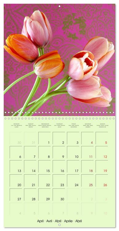 Produktbild: Tulipes &eacute;l&eacute;gantes (Calendrier mural carr&eacute; 2026 30x30 cm) Calendrier double avec une page pour vos prises de notes