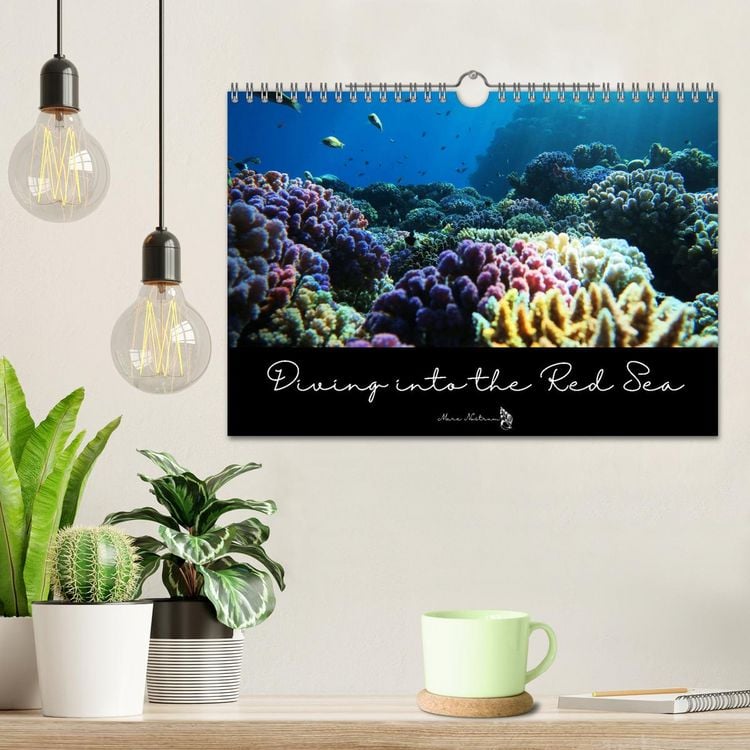 Produktbild: Diving into the Red Sea (Wall Calendar 2026 DIN A4 landscape), CALVENDO 12 Month Wall Calendar