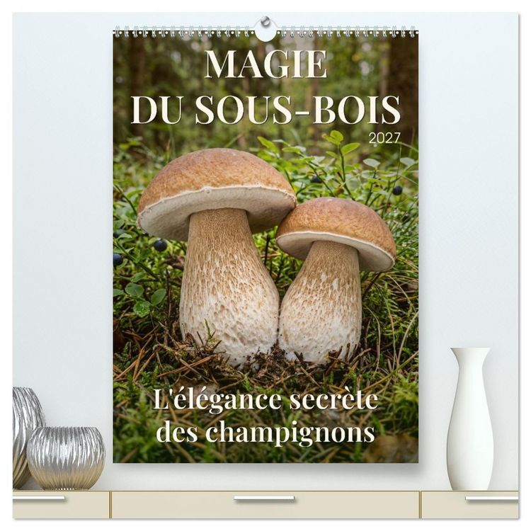 Produktbild: MAGIE DU SOUS-BOIS (Calendrier mural haut de gamme 2027 DIN A2 horizontal), CALVENDO calendrier mensuel