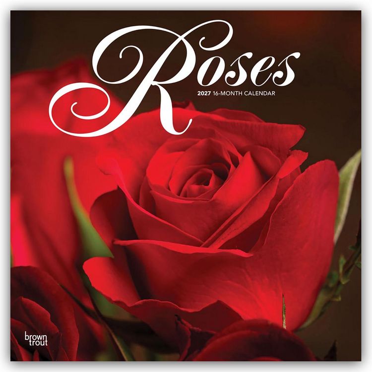 Produktbild: Roses &ndash; Rosen 2027 &ndash; 16-Monatskalender