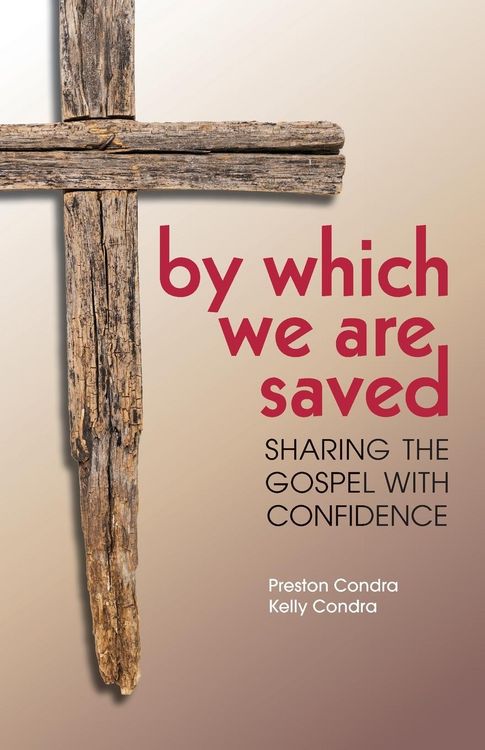 Produktbild: By Which We Are Saved