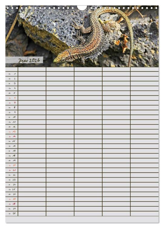Produktbild: Tierischer Familienplaner (Wandkalender 2026 DIN A3 hoch), CALVENDO Monatskalender