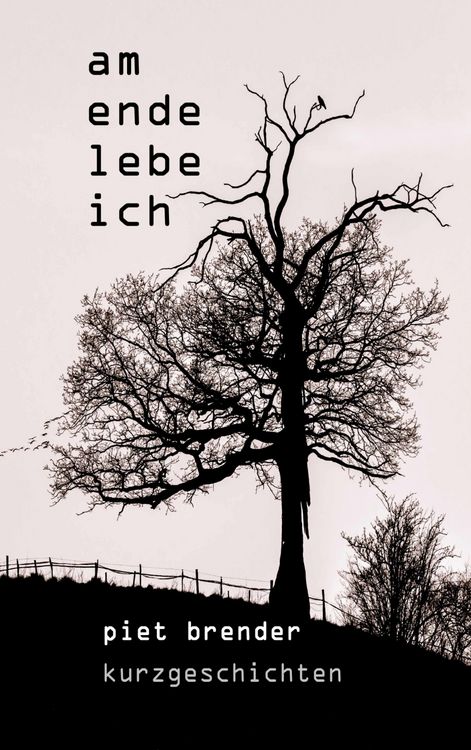 Produktbild: Am Ende lebe ich