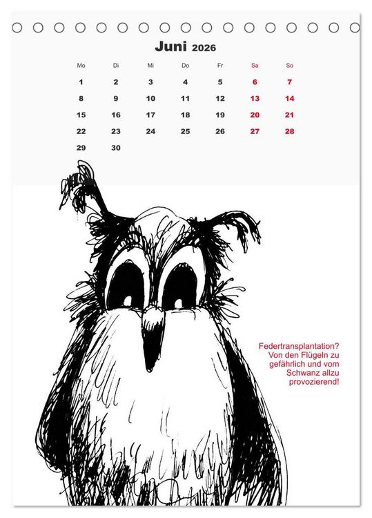 Produktbild: Vor dem Spiegel 2026 (Tischkalender 2026 DIN A5 hoch), CALVENDO Monatskalender