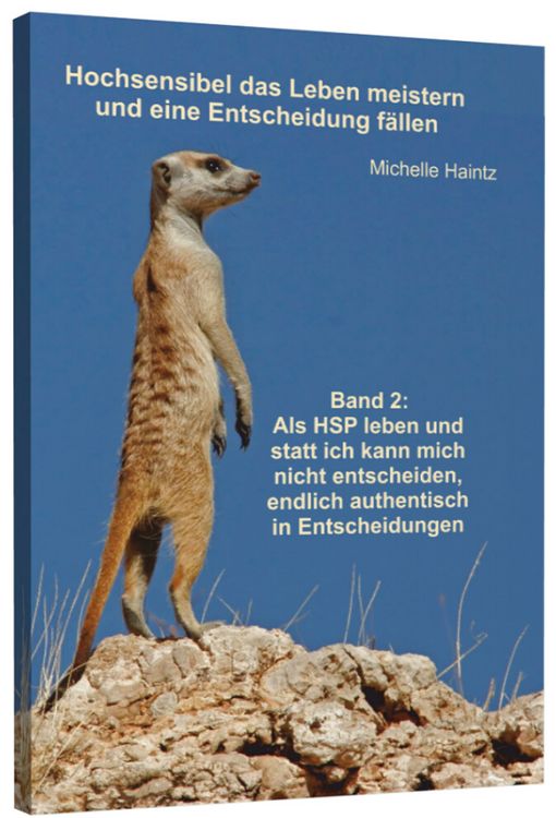Produktbild: Hochsensibel das Leben meistern und eine Entscheidung f&auml;llen