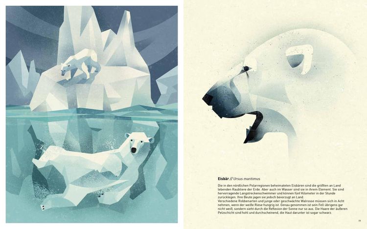 Produktbild: Die Welt der wilden Tiere