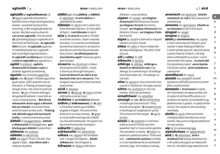 Produktbild: Irish School Dictionary