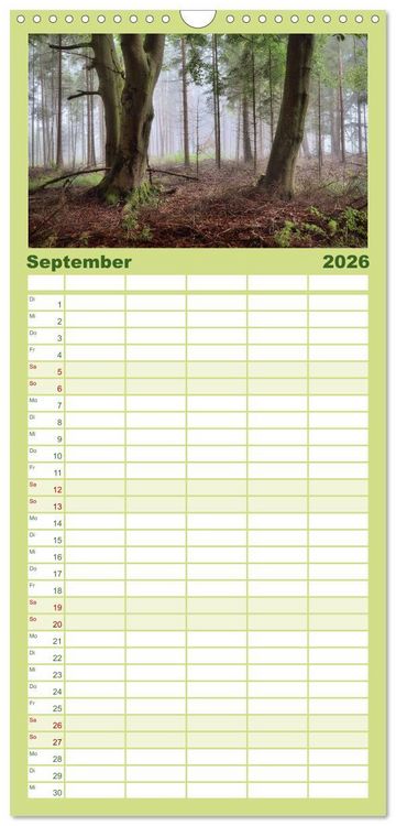 Produktbild: Familienplaner 2026 - Waldkalender mit 5 Spalten (Wandkalender, 21 x 45 cm) CALVENDO