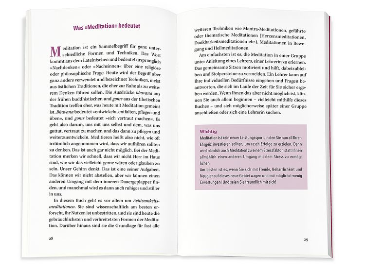 Produktbild: Immunbooster Meditation
