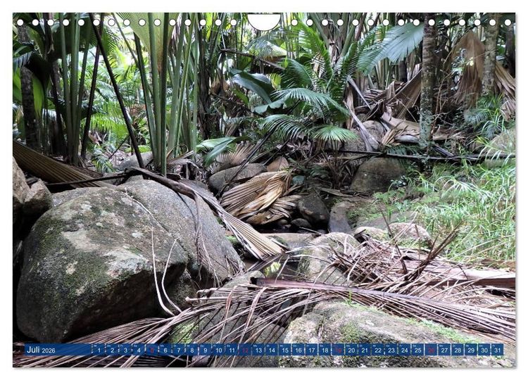 Produktbild: Seychellen - Wild und Sch&ouml;n (Wandkalender 2026 DIN A4 quer), CALVENDO Monatskalender