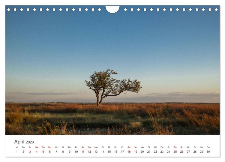 Produktbild: Madagaskar - Eine au&szlig;ergew&ouml;hnliche und wundersch&ouml;ne Insel. (Wandkalender 2026 DIN A4 quer), CALVENDO Monatskalender