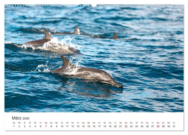 Produktbild: Mosambik - Eine Perle im S&uuml;den Afrikas. (hochwertiger Premium Wandkalender 2026 DIN A2 quer), Kunstdruck in Hochglanz