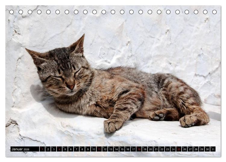 Produktbild: Griechische Katzen (Tischkalender 2026 DIN A5 quer), CALVENDO Monatskalender