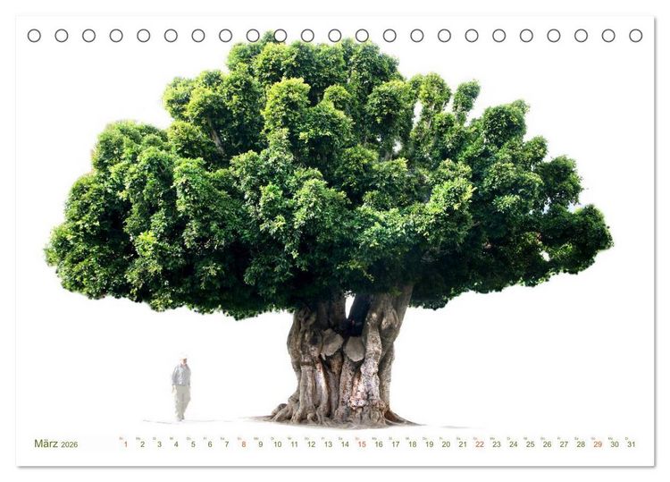 Produktbild: B&Auml;UME - wie gemalt (Tischkalender 2026 DIN A5 quer), CALVENDO Monatskalender