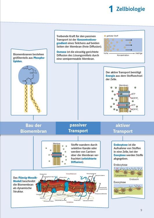 Produktbild: Klett Sicher im Abi Oberstufen-Wissen Biologie