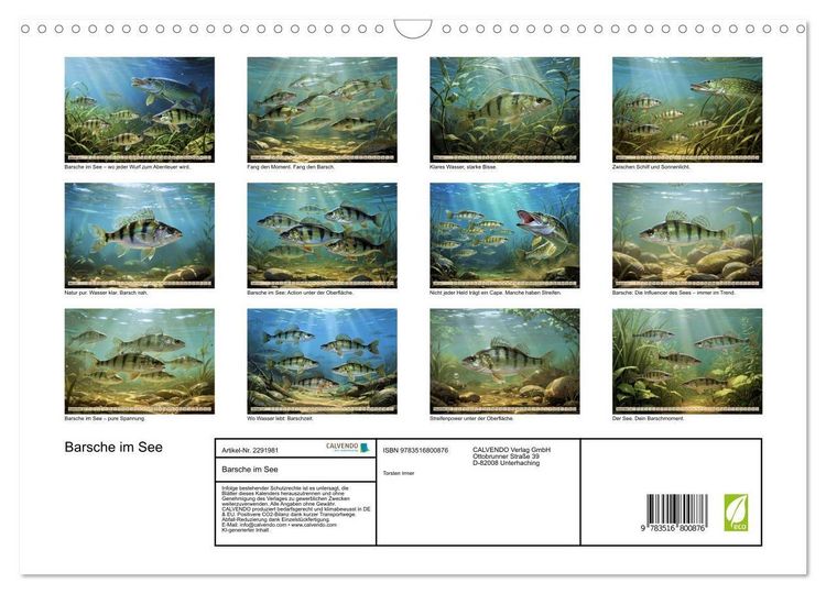 Produktbild: Barsche im See (Wandkalender 2027 DIN A3 quer), CALVENDO Monatskalender