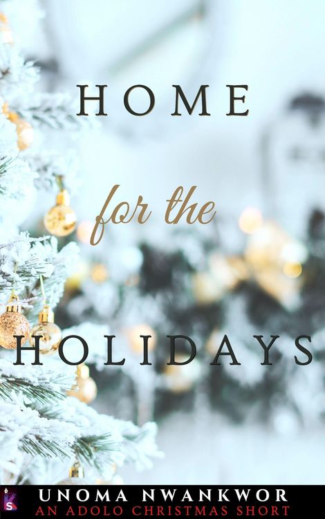 Produktbild: Home For the Holidays: An Adolo Christmas Short (An Invisible Shackles Novel Book)