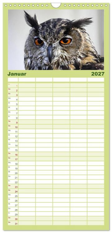 Produktbild: Familienplaner 2027 - Eulen mit 5 Spalten (Wandkalender, 21 x 45 cm) CALVENDO