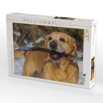Produktbild: CALVENDO Puzzle Ein Motiv aus dem Kalender Labrador Retriever - ein Herz auf 4 Pfoten | 1000 Teile Lege-Gr&ouml;&szlig;e 64x48cm Foto-Puzzle f&uuml;r gl&uuml;ckliche Stunden
