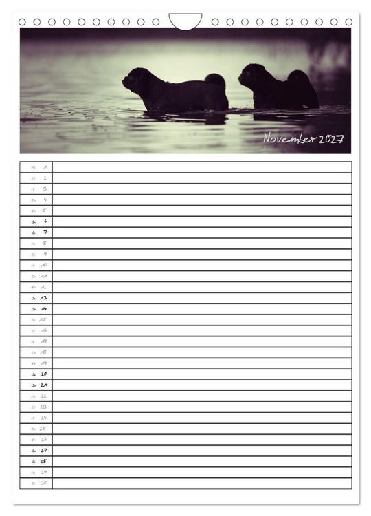 Produktbild: Der mopsige Familienplaner (Wandkalender 2027 DIN A4 hoch), CALVENDO Monatskalender