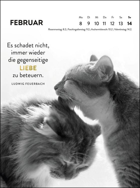 Produktbild: Wochenkalender 2027: Goldene Katzenweisheiten f&uuml;r jeden Tag