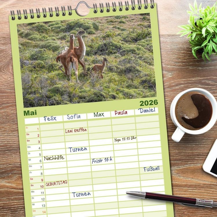 Produktbild: Familienplaner 2026 - Wildlife S&uuml;damerika mit 5 Spalten (Wandkalender, 21 x 45 cm) CALVENDO