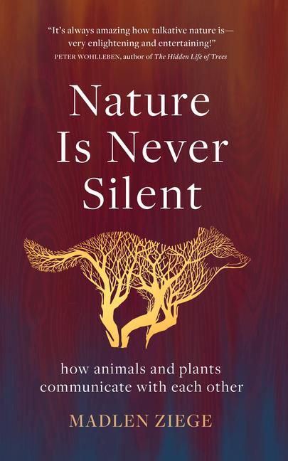 Produktbild: Nature Is Never Silent